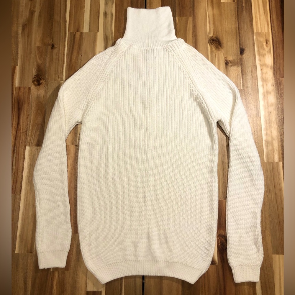 Zara Turtle Neck dress
